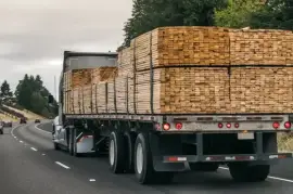 I need to send international wood