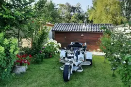 Transport trike