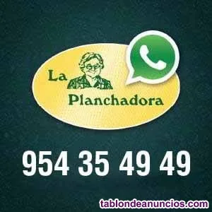 Repartidor con furgoneta